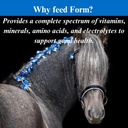 su-per-form-horse-vitamins-and-minerals--4.jpg