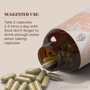 nutmeg-120-capsules-high-potency-herbal--2.jpg