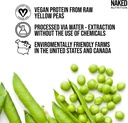 naked-vegan-sample-pack-pea-chocolate-pe-2.jpg