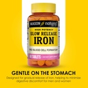 mason-natural-slowrelease-iron-ferrous-s-4.jpg