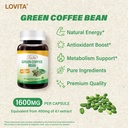 lovita-green-coffee-bean-extract-50-chlo-5.jpg