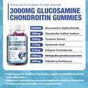 1-pack-3000mg-glucosamine-chondroitin-wi-2.jpg