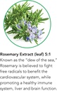 botanic-choice-rosemary-leaf-liquid-extr-4.jpg