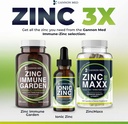 zinc-supplements---immunity-skin-reprodu-4.jpg