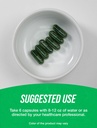 bulksupplementscom-spirulina-capsules----4.jpg