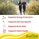 greenfield-nutritions-halal-vitamin-b12--2.jpg