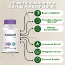 xanapril---xanapril-dietary-capsule-supp-2.jpg