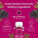 wellpath-boost-elderberry-gummies-with-z-4.jpg