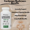 pristines-cordyceps-mushroom-3-pack-1000-3.jpg