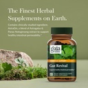 gaia-herbs-gut-revival---herbal-digestiv-2.jpg