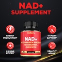satoomi-nad-supplement-with-nicotinamide-5.jpg