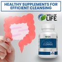 well-of-life-colon-cleanse-aloe-vera-cas-4.jpg