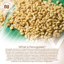 nootropics-depot-fenugreek-extract-capsu-3.jpg
