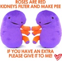 i-heart-guts-kidney-plush-9-educational--5.jpg