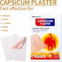 24-pcs-capsicum-plaster-capsaicin-patch--2.jpg