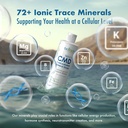 biotrace-dead-sea-trace-mineral-drops-72-3.jpg