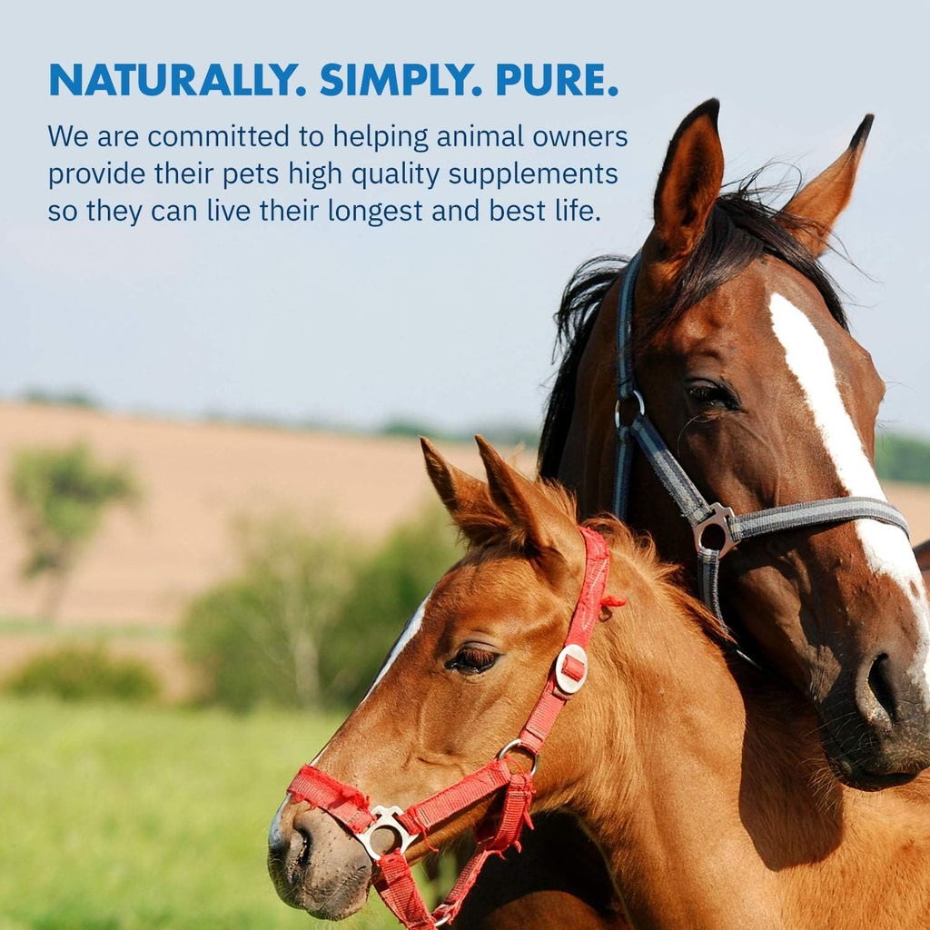 healthygut-foal-kit-for-horses-dietary-s-5.jpg