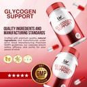 1-pack---glycogen-support-glycogen-contr-4.jpg