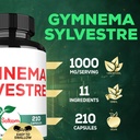 1000mg-gymnema-sylvestre-supplements---2-3.jpg