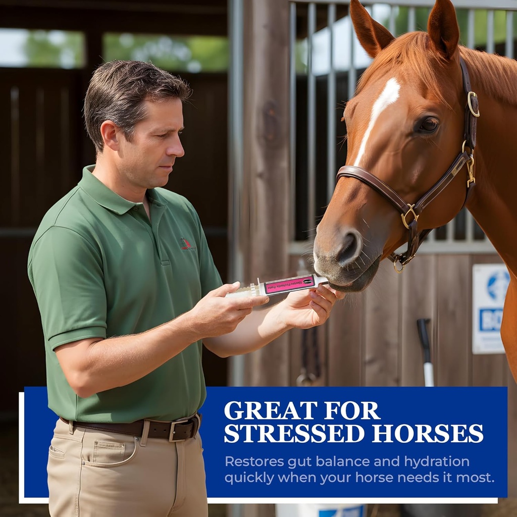 equerrys-electro-probiotic-paste-for-hor-4.jpg