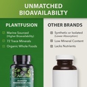 plantfusion-vegan-magnesium-complex-375m-2.jpg