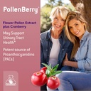 graminex-pollenberry-dietary-supplement--5.jpg