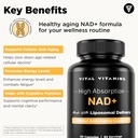 vital-vitamins-nad-supplement---nad-nico-4.jpg