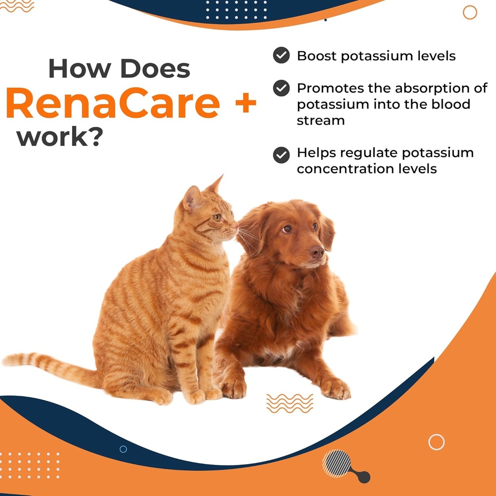 renacare-k-is-for-renal-k-potassium-gluc-4.jpg