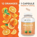 purely-holistic-vitamin-c-1000mg-365-cap-5.jpg