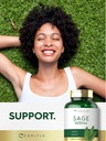 carlyle-sage-supplement-1600mg-180-capsu-6.jpg