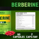 zolotus-berberine-supplement-40-in-1-wit-2.jpg