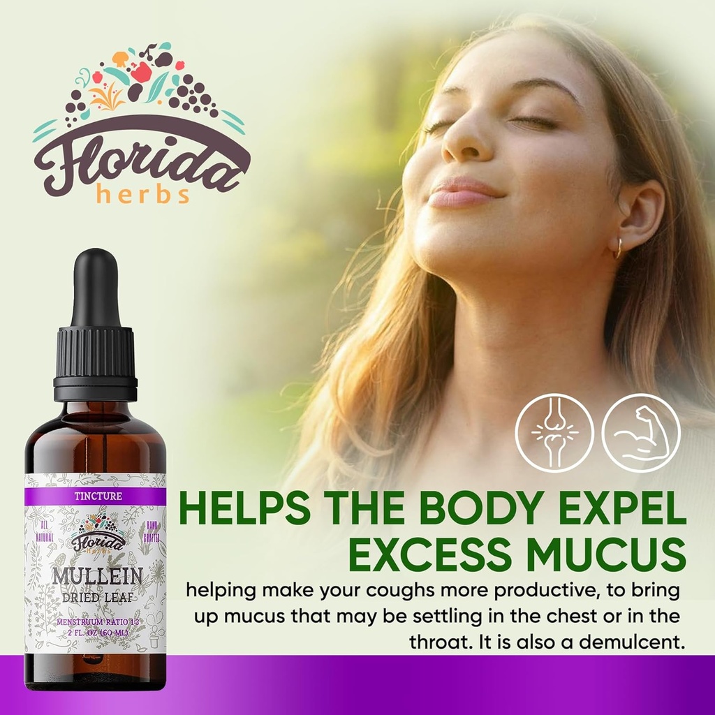 mullein-tincture-extract-organic-mullein-2.jpg