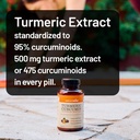 naturewise-turmeric-curcumin-500mg-with--2.jpg