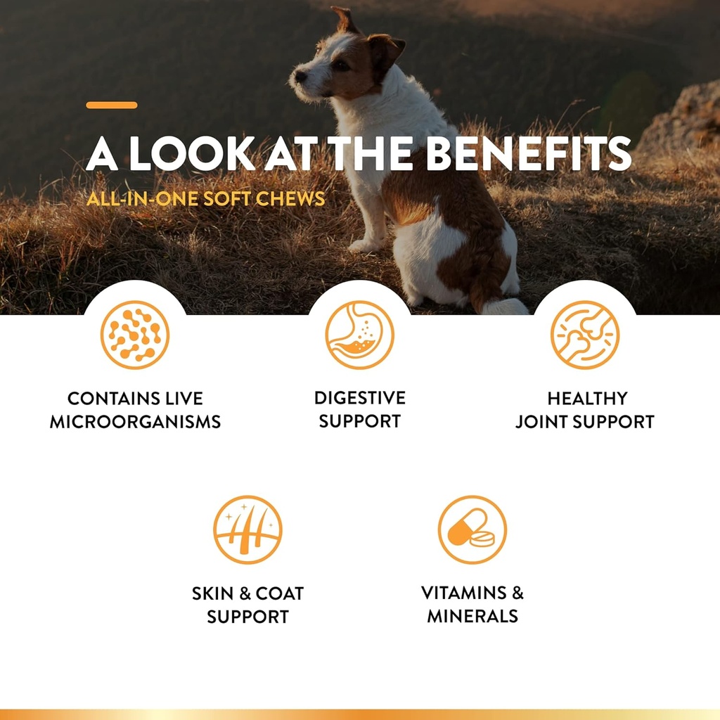 naturvet-all-in-one-dog-supplement---for-6.jpg