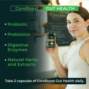 gut-health-supplement-coreboost-with-ash-6.jpg