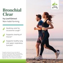 terry-naturally-bronchial-clear-ivy-leaf-3.jpg