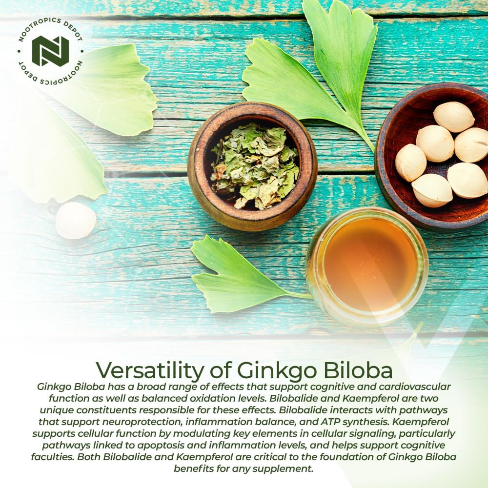 nootropics-depot-ginkgo-biloba-extract-t-4.jpg