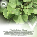 nootropics-depot-ginkgo-biloba-extract-t-5.jpg
