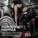 bronson-cla-3000-extra-high-potency-supp-4.jpg