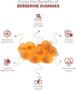 premium-berberine-gummies-1500mg---sugar-3.jpg