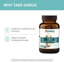 himalaya-organic-garlic---herbal-supplem-4.jpg