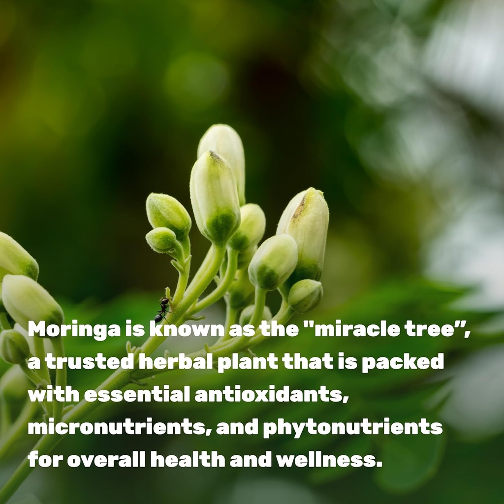 moringa-capsules-9000mg-herbal-equivalen-4.jpg