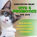 cat-constipation-relief-constipation-rel-3.jpg