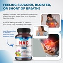 nac-supplement-n-aetyl-cysteine-enriched-2.jpg