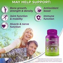 vegan-bone-immune-hormonal-support-trio--4.jpg