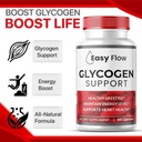 2-pack-easy-flow-glycogen-easyflow-glyco-4.jpg