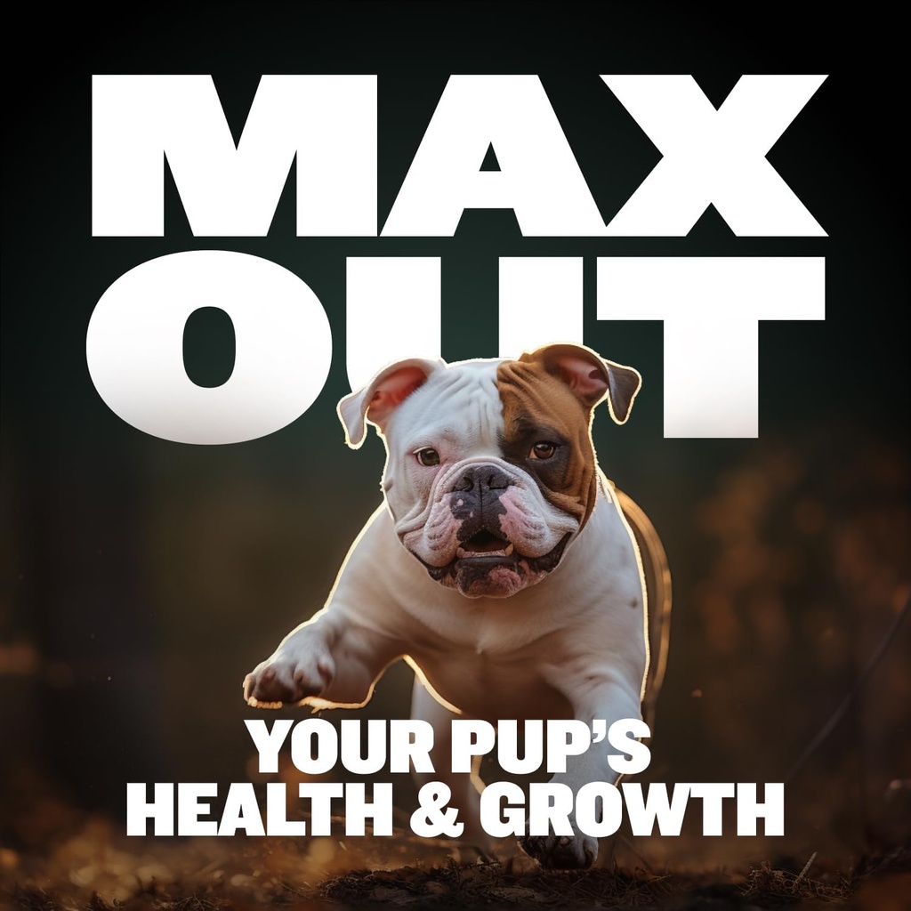 bully-max-2-in-1-puppy-treats-soft-chews-4.jpg