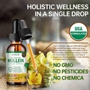 7-in-1-mullein-drops-for-lungs-2-fl-oz---2.jpg