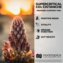 nootropics-depot-cistanche-supercritical-4.jpg