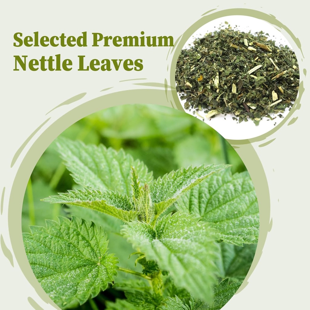 fullchea---nettle-leaf-tea-bags-25-teaba-2.jpg
